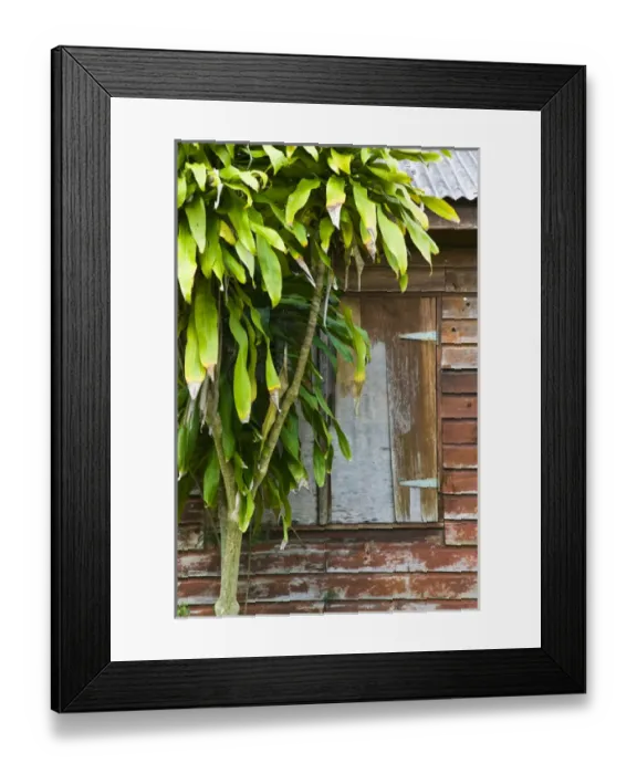 Framed Print : NEW CALEDONIA, Central Grande Terre Island, Sarramea. Detail of island bungalow Framed Print : NEW CALEDONIA, Central Grande Terre Island, Sarramea. Detail of island bungalow