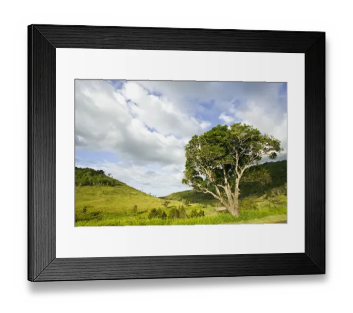 Framed Print : NEW CALEDONIA, Central Grande Terre Island, Thio. BOULOUPARIS, landscape of central Framed Print : NEW CALEDONIA, Central Grande Terre Island, Thio. BOULOUPARIS, landscape of central