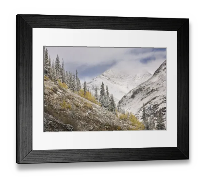 Framed Print : USA, Colorado, Rocky Mountains, Cinnamon Pass. Autumn snowfall blankets mountains Framed Print : USA, Colorado, Rocky Mountains, Cinnamon Pass. Autumn snowfall blankets mountains