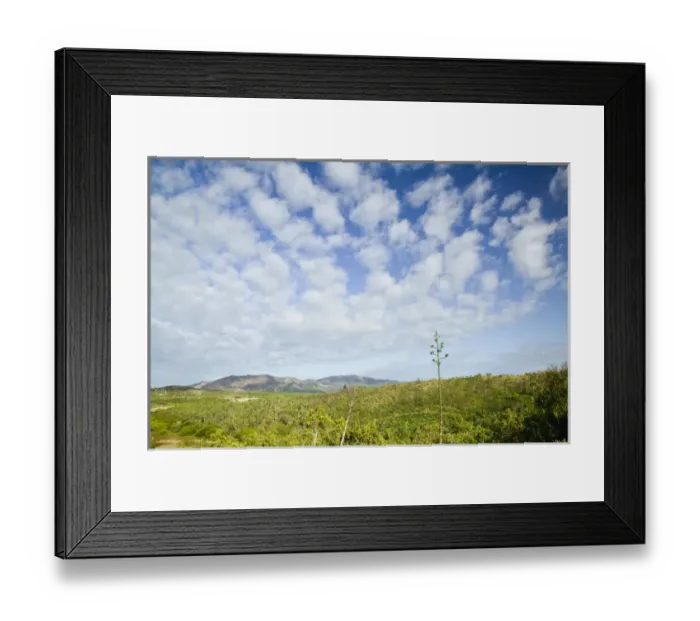 Framed Print : NEW CALEDONIA, North-West Grande Terre Island, Poum. View of the Baie de Nehoue, morning Framed Print : NEW CALEDONIA, North-West Grande Terre Island, Poum. View of the Baie de Nehoue, morning