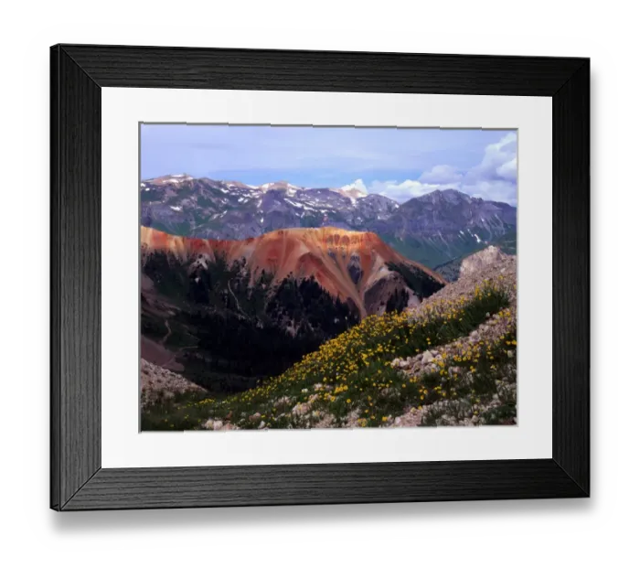 Framed Print : Sub-alpine buttercups and mineral-laden mountains near Ouray, Colorado Framed Print : Sub-alpine buttercups and mineral-laden mountains near Ouray, Colorado