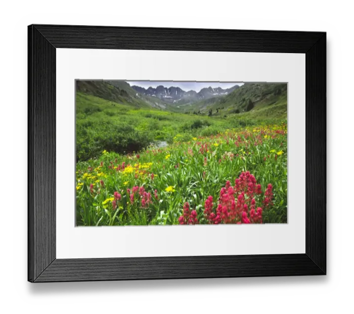 Framed Print : USA, Colorado, Lake City, American Basin in San Juan Mountains Framed Print : USA, Colorado, Lake City, American Basin in San Juan Mountains