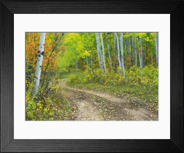 Framed Print : Road with autumn colors and aspens in Kebler Pass Framed Print : Road with autumn colors and aspens in Kebler Pass