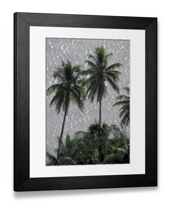 Framed Print : Bora Bora, French Polynesia Coconut palms above ocean Framed Print : Bora Bora, French Polynesia Coconut palms above ocean