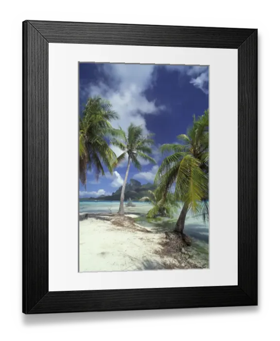 Framed Print : Bora Bora, French Polynesia Palm trees at shore Framed Print : Bora Bora, French Polynesia Palm trees at shore