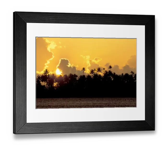 Framed Print : South Pacific, French Polynesia, Bora Bora. Palm trees at sunset