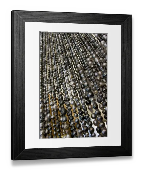 Framed Print : South Pacific, French Polynesia, Society Islands, Bora Bora. Close-up of curtain of black pearls Framed Print : South Pacific, French Polynesia, Society Islands, Bora Bora. Close-up of curtain of black pearls