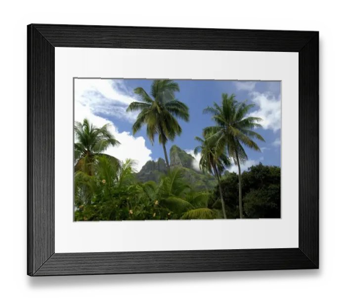 Framed Print : South Pacific, French Polynesia, Society Islands, Bora Bora Framed Print : South Pacific, French Polynesia, Society Islands, Bora Bora
