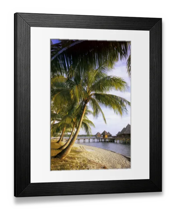 Framed Print : Over water bungalows on Rangiroa, French Polynesia Framed Print : Over water bungalows on Rangiroa, French Polynesia
