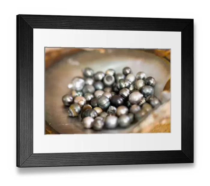 Framed Print : Black pearl farming at Hinano Pearl Farm, Fakarava, Tuamotus, French Polynesia Framed Print : Black pearl farming at Hinano Pearl Farm, Fakarava, Tuamotus, French Polynesia