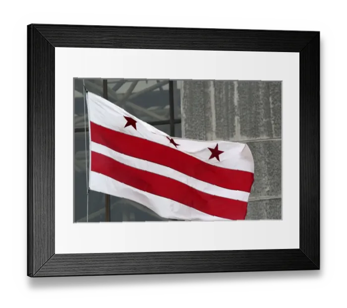 Framed Print : The state flag of the District of Columbia in Washington, D. C Framed Print : The state flag of the District of Columbia in Washington, D. C