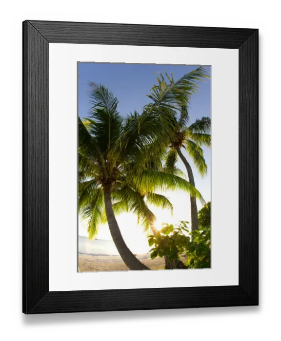 Framed Print : Palm Trees. Fakarava, Tuamotus, French Polynesia