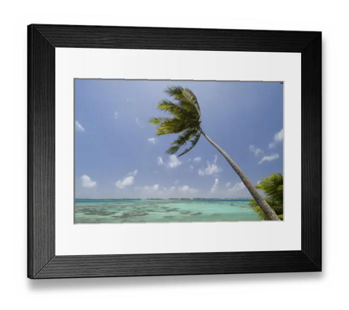 Framed Print : Bora-Bora, French Polynesia Framed Print : Bora-Bora, French Polynesia