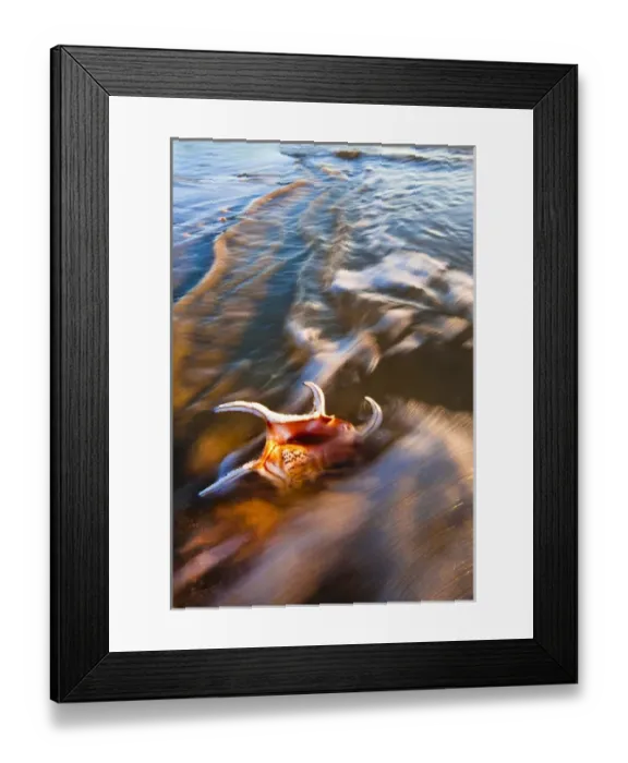 Framed Print : USA, Florida, St. Augustine. Credit as: Nancy Rotenberg  /  Jaynes Gallery  /  DanitaDelimont