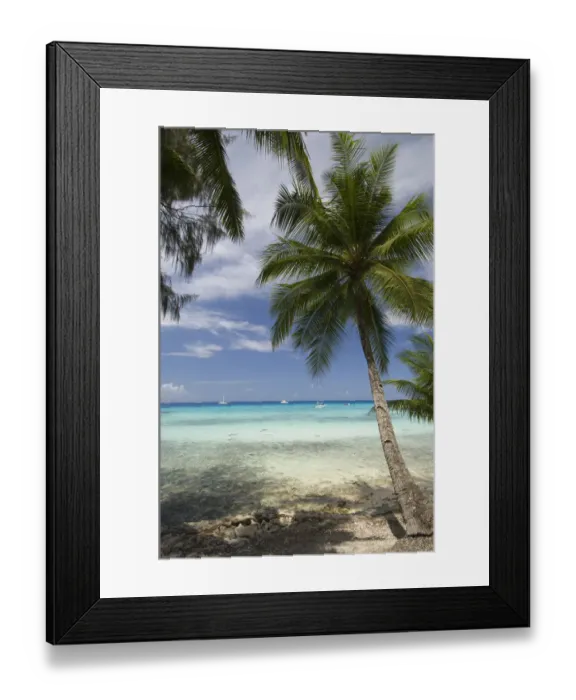 Framed Print : Rangiroa, Tuamotu Archipelago, French Polynesia Framed Print : Rangiroa, Tuamotu Archipelago, French Polynesia