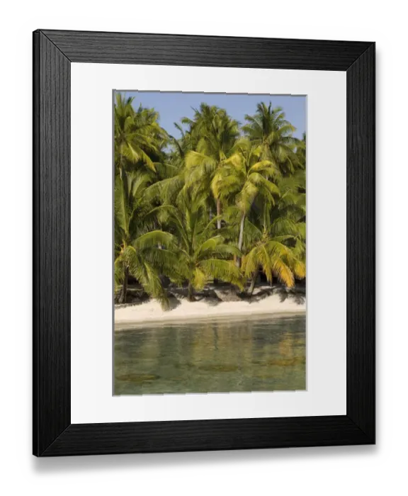 Framed Print : Rangiroa, Tuamotu Archipelago, French Polynesia Framed Print : Rangiroa, Tuamotu Archipelago, French Polynesia