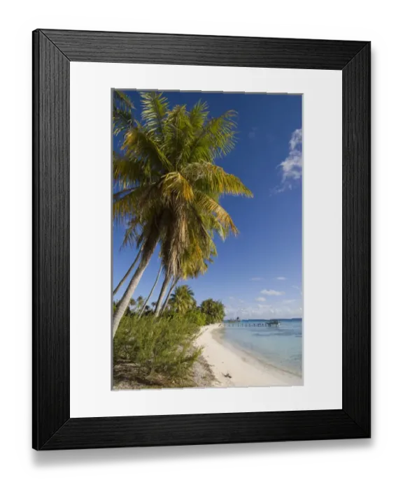 Framed Print : Fakarawa, Tuamotu Archipelago, French Polynesia