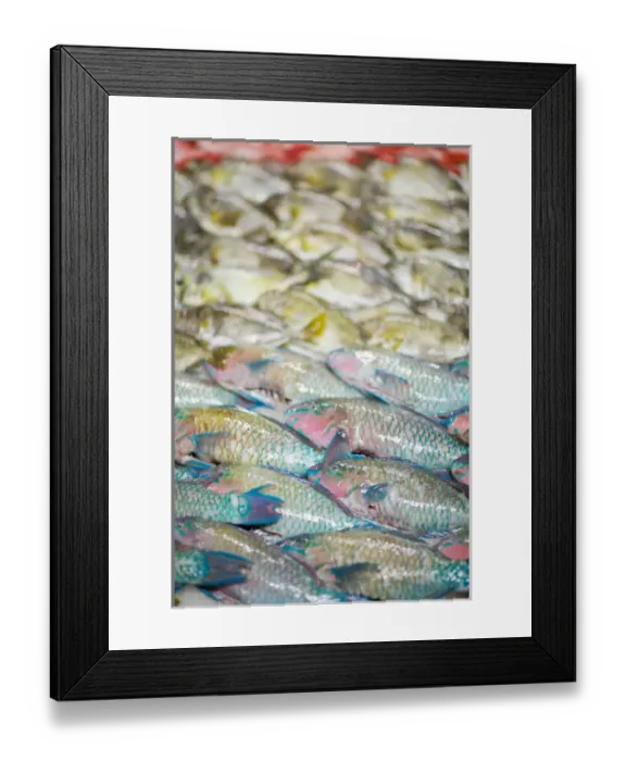 Framed Print : Papeete Public Market, Tahiti Nui, Society Islands, French Polynesia, South Pacific Framed Print : Papeete Public Market, Tahiti Nui, Society Islands, French Polynesia, South Pacific