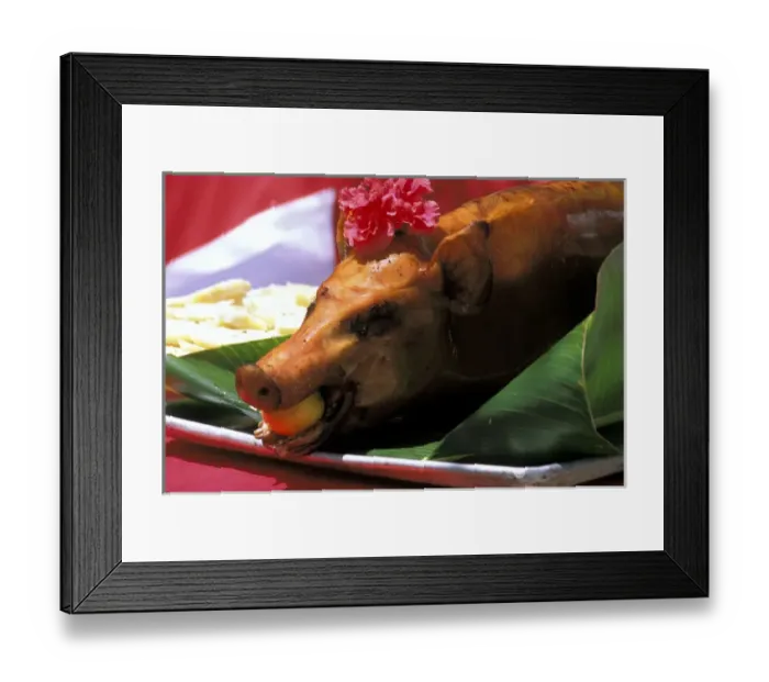 Framed Print : 05. Roast Suckling Pig on platter, Society Islands, French Polynesia Framed Print : 05. Roast Suckling Pig on platter, Society Islands, French Polynesia