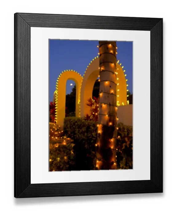 Framed Print : North America, United States, Southeast, East, Florida, Xmas, Christmas, lighting Framed Print : North America, United States, Southeast, East, Florida, Xmas, Christmas, lighting