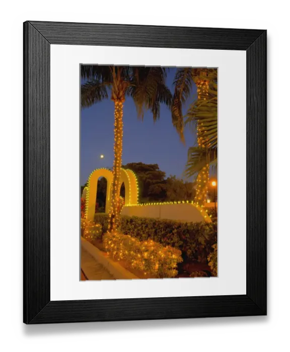 Framed Print : North America, United States, Southeast, East, Florida, Xmas, Christmas, lighting Framed Print : North America, United States, Southeast, East, Florida, Xmas, Christmas, lighting
