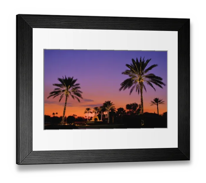 Framed Print : North America, United States, Southeast, East, Florida, Xmas, Christmas, lighting Framed Print : North America, United States, Southeast, East, Florida, Xmas, Christmas, lighting