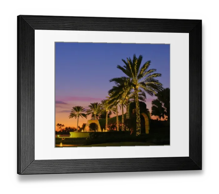 Framed Print : North America, United States, Southeast, East, Florida, Xmas, Christmas, lighting Framed Print : North America, United States, Southeast, East, Florida, Xmas, Christmas, lighting