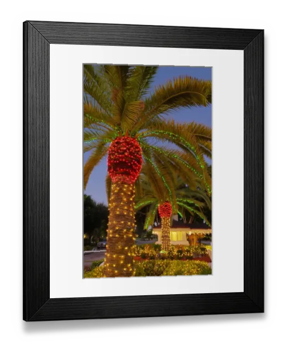 Framed Print : North America, United States, Southeast, East, Florida, Xmas, Christmas, lighting Framed Print : North America, United States, Southeast, East, Florida, Xmas, Christmas, lighting