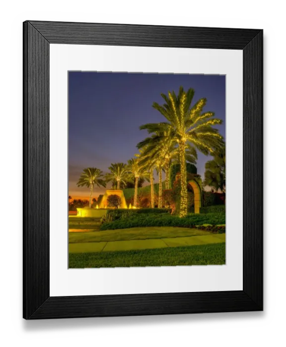 Framed Print : North America, United States, Southeast, East, Florida, Xmas, Christmas, lighting Framed Print : North America, United States, Southeast, East, Florida, Xmas, Christmas, lighting