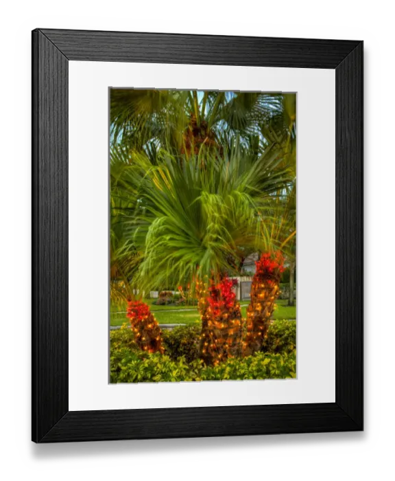 Framed Print : North America, United States, Southeast, East, Florida, Xmas, Christmas, lighting Framed Print : North America, United States, Southeast, East, Florida, Xmas, Christmas, lighting