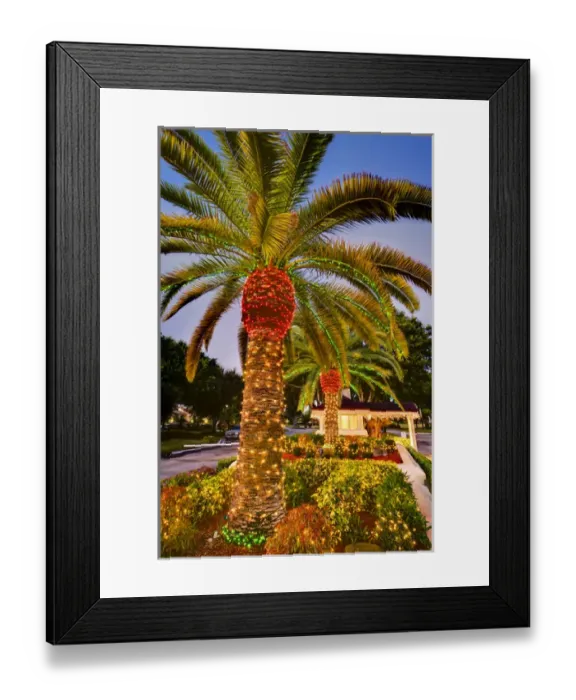Framed Print : North America, United States, Southeast, East, Florida, Xmas, Christmas, lighting