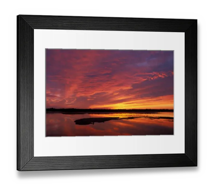 Framed Print : Sanibel, FL. The colors of sunset at Ding Darling National Wildlife Refuge on Sanibel Framed Print : Sanibel, FL. The colors of sunset at Ding Darling National Wildlife Refuge on Sanibel