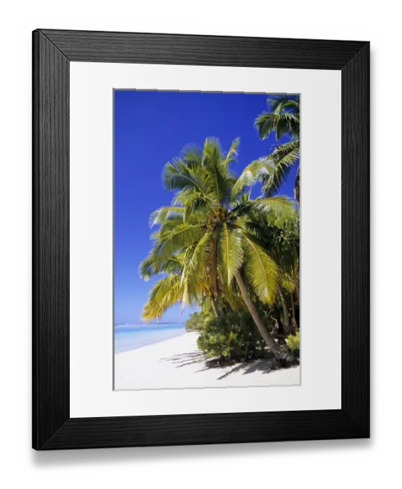 Framed Print : Palm lined beach Cook Islands Framed Print : Palm lined beach Cook Islands