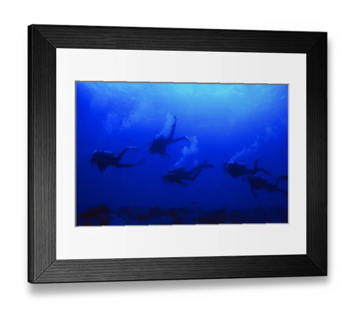 Framed Print : Group of Japanese scuba divers following each other in the Blue Corner, Republic of Palau
