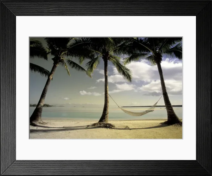 Framed Print : Pacific, Cook Islands, Aitutaki Palms and hammock Framed Print : Pacific, Cook Islands, Aitutaki Palms and hammock