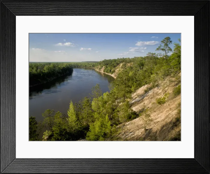 Framed Print : alum bluffs and Apalachicola River in Northern Florida, Florida panhandle Framed Print : alum bluffs and Apalachicola River in Northern Florida, Florida panhandle