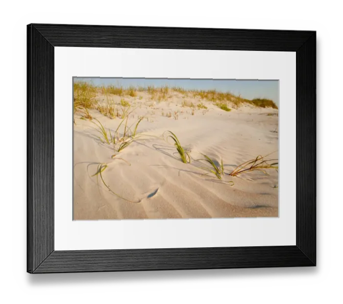 Framed Print : Beach and dunes, Matanzas National Monument, south of St. Augustine, Florida Framed Print : Beach and dunes, Matanzas National Monument, south of St. Augustine, Florida