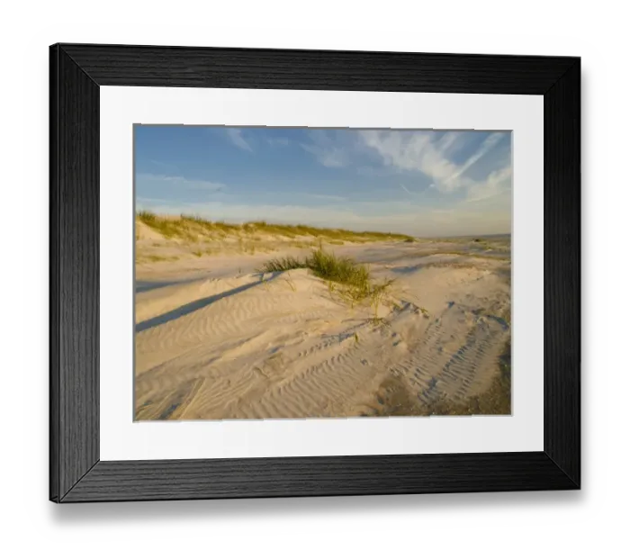 Framed Print : USA, Florida, St. Augustine, sand dunes Framed Print : USA, Florida, St. Augustine, sand dunes