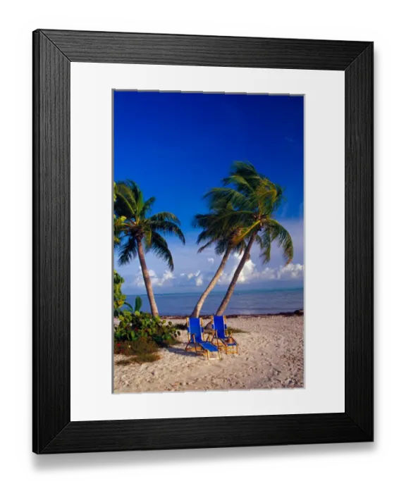 Framed Print : NA, USA, Florida, Florida Keys, Palm Trees & Chairs on Beach Framed Print : NA, USA, Florida, Florida Keys, Palm Trees & Chairs on Beach