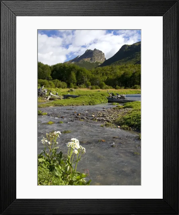 Framed Print : Scenic nature in the Tierra del Fuego National Park, Argentina