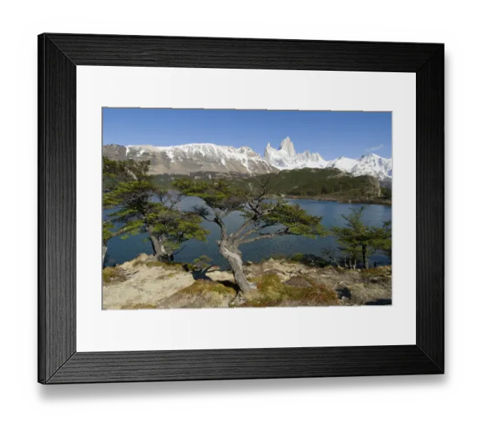 Framed Print : View of Fitzroy from Lago Capri, Los Glaciares National park, near El Chalten Framed Print : View of Fitzroy from Lago Capri, Los Glaciares National park, near El Chalten