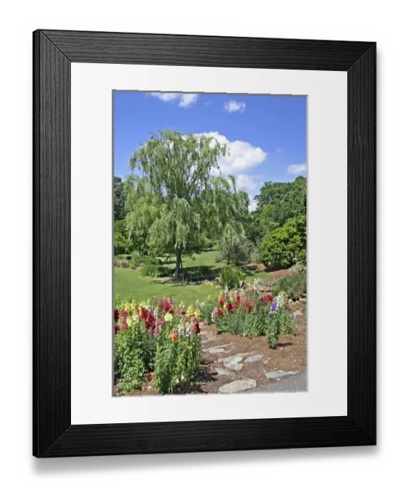 Framed Print : Landscaping at State Botanical Garden Athens Georgia