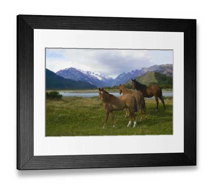 Framed Print : Horses graze on meadow by glacier water with valley behind, National Park Los Glaciares Framed Print : Horses graze on meadow by glacier water with valley behind, National Park Los Glaciares