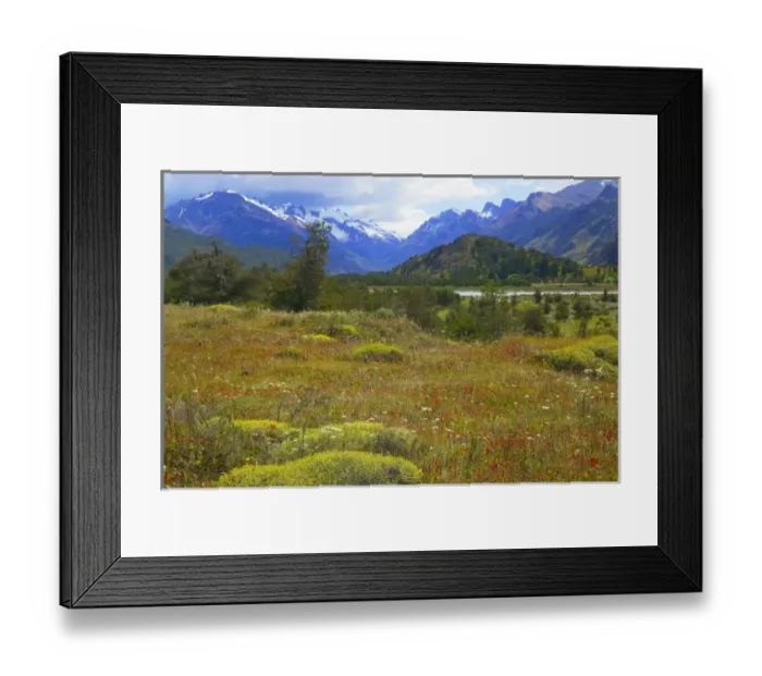 Framed Print : Landscape of meadow, snow mountain valley in the distance, National Park Los Glaciares Framed Print : Landscape of meadow, snow mountain valley in the distance, National Park Los Glaciares