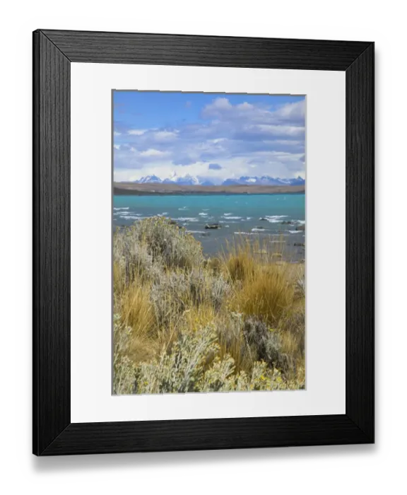 Framed Print : Meadow by Lago Argentina, El Calafate, Patagonia, Argentina Framed Print : Meadow by Lago Argentina, El Calafate, Patagonia, Argentina