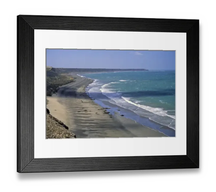 Framed Print : South America, Argentina, Valdes Peninsula. Sea Lion colony of the Peninsula Framed Print : South America, Argentina, Valdes Peninsula. Sea Lion colony of the Peninsula