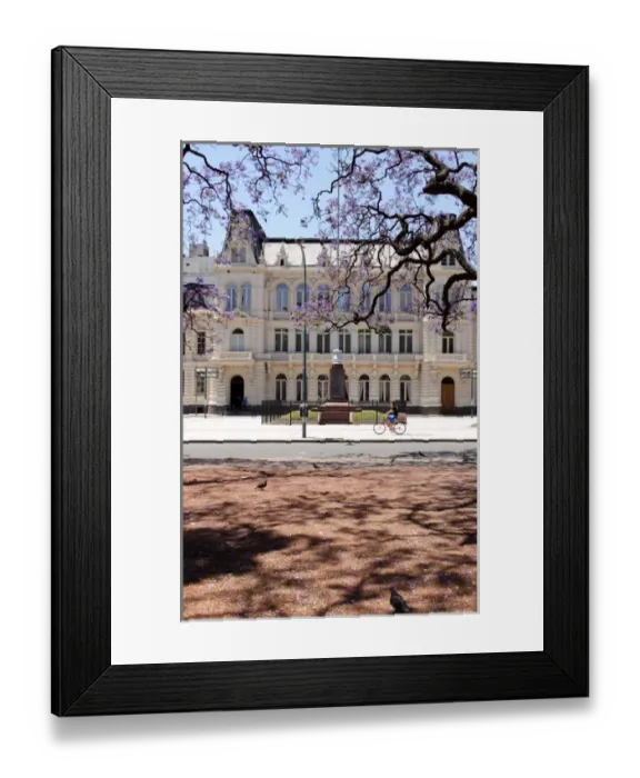 Framed Print : Argentina, Buenos Aires, Barrio Norte, Rodriguez Pena, Jacarandas trees bloom in Framed Print : Argentina, Buenos Aires, Barrio Norte, Rodriguez Pena, Jacarandas trees bloom in