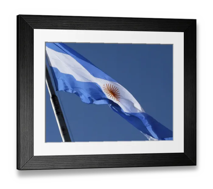 Framed Print : the Argentine flag Framed Print : the Argentine flag