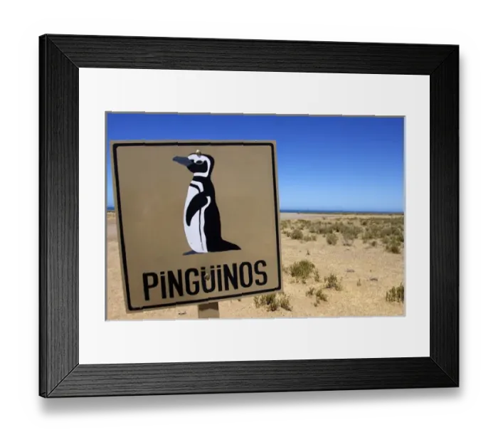 Framed Print : Chubut Province, Argentina, Peninsula Valdes, Unesco World Heritage Site, penguin