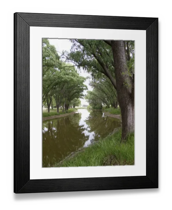 Framed Print : Argentina: shaded river in the Pampa region